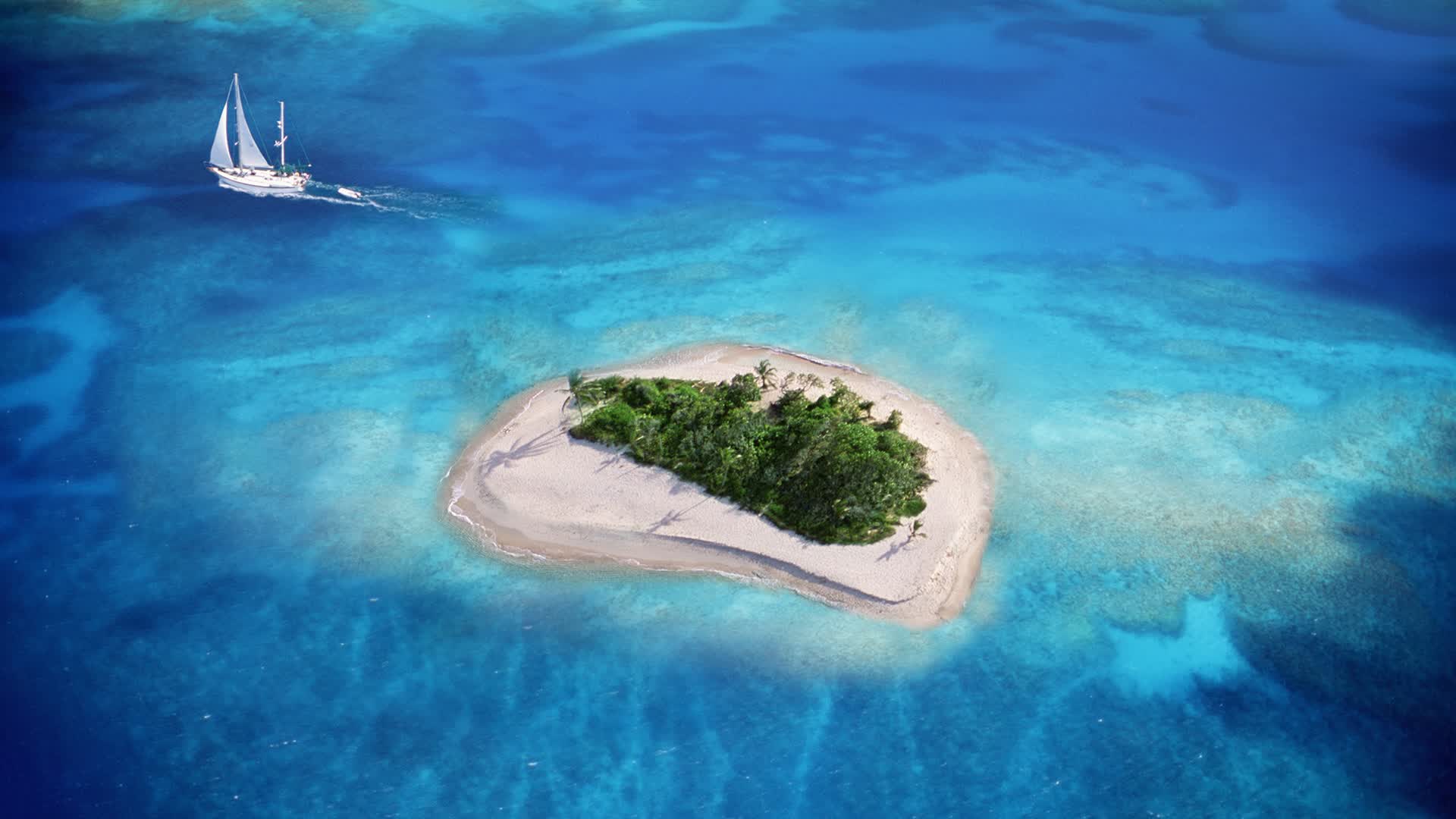 世界游泳接力平台赛事数据开放第30轮启动，游泳接力赛冠军